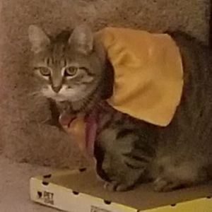 Meet your Posher, Janice